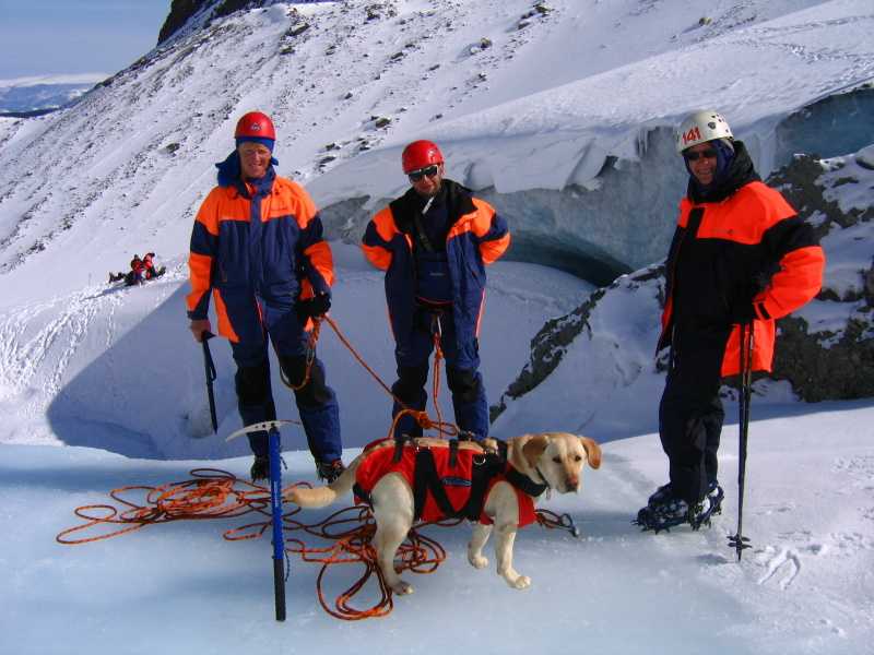 Какие собаки помогают спасать альпинистов порода окружающий мир 2 класс