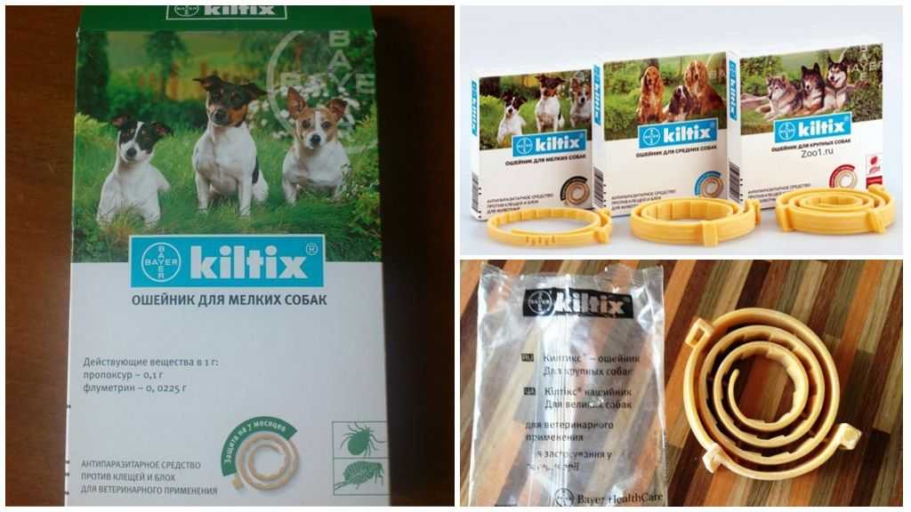 Килтикс / kiltix (ошейник) для собак | отзывы о применении препаратов для животных от ветеринаров и заводчиков