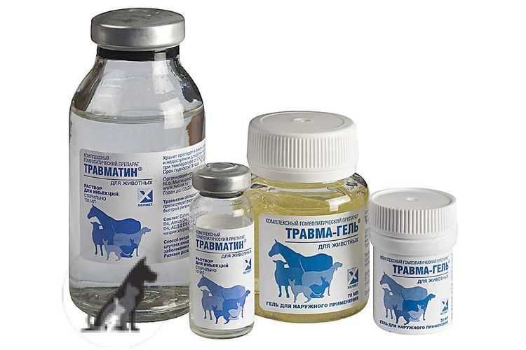 Травматин для собак: инструкция по применению таблеток и геля, дозировка раствора для уколов, отзывы ветеринаров, цена и аналоги. как давать препарат при родах?