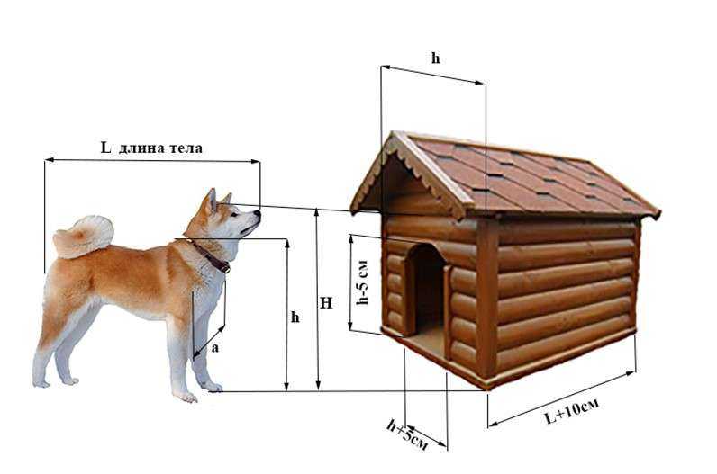 Будка для собаки своими руками: чертежи и схемы, домашняя и уличная, утепление