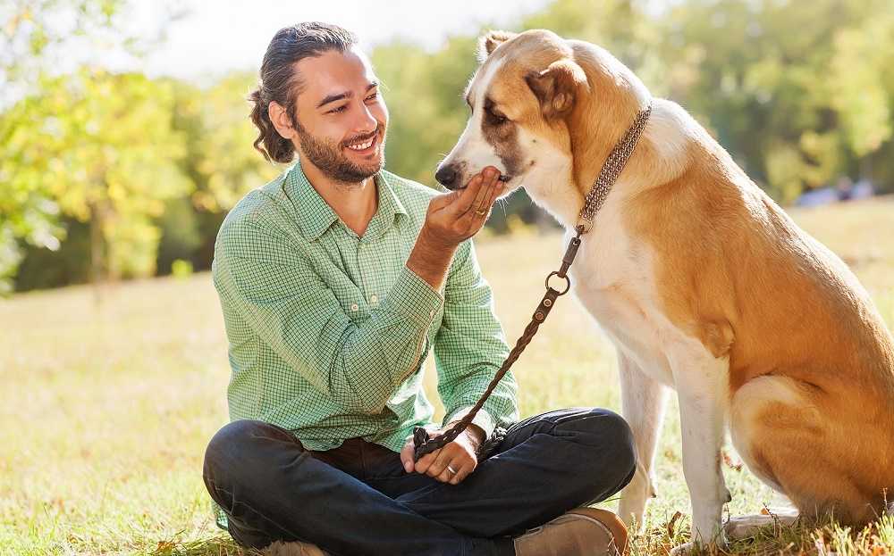 Как понять, что собака тебя любит: признаки собачьей привязанности