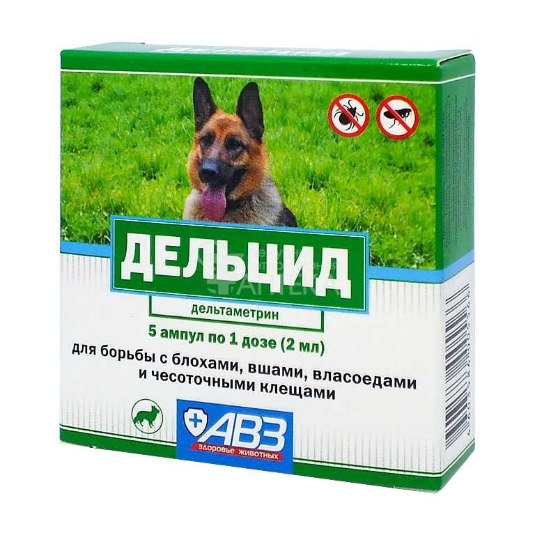 Дельцид для собак: инструкция по применению, меры предосторожности, ограничения