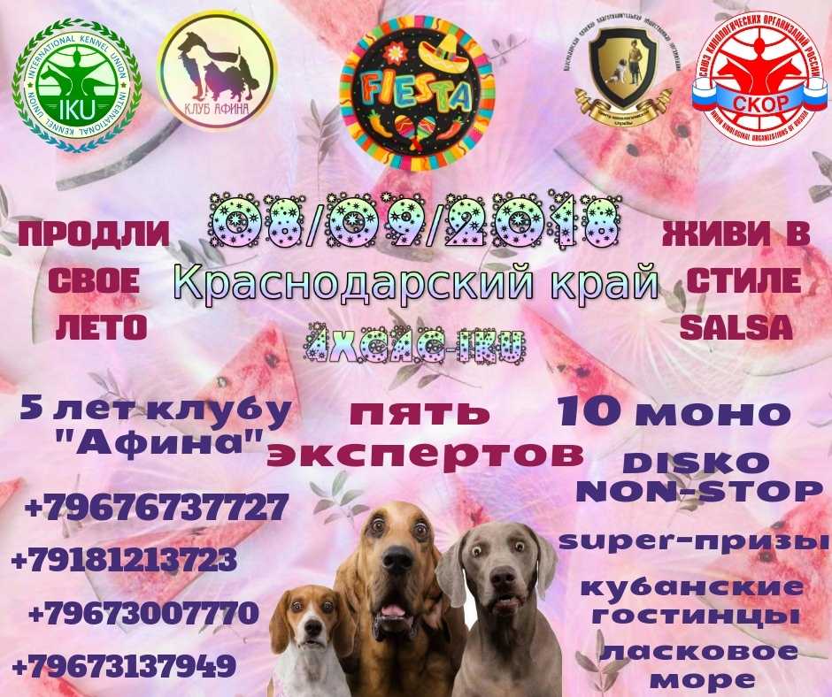 Выставка собак всех пород ранга сас чф г. москва