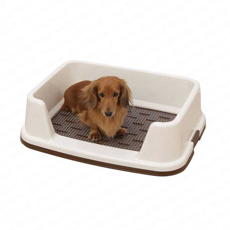 Туалет для собак со столбиком и с травкой (для больших и маленьких питомцев), как приучить собаку к лотку