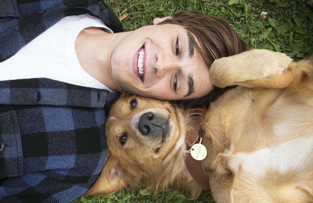 Фильмы про собак – 27 лучших новинок последних лет