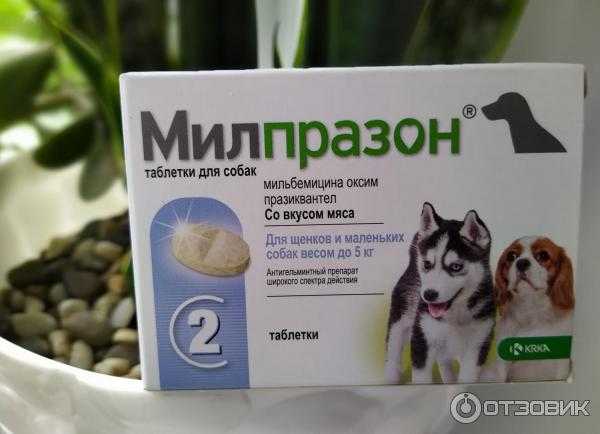 Милпразон для щенков и мелких собак, таблетки