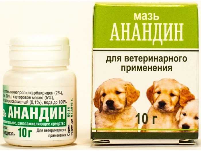 Лечение собак народными средствами