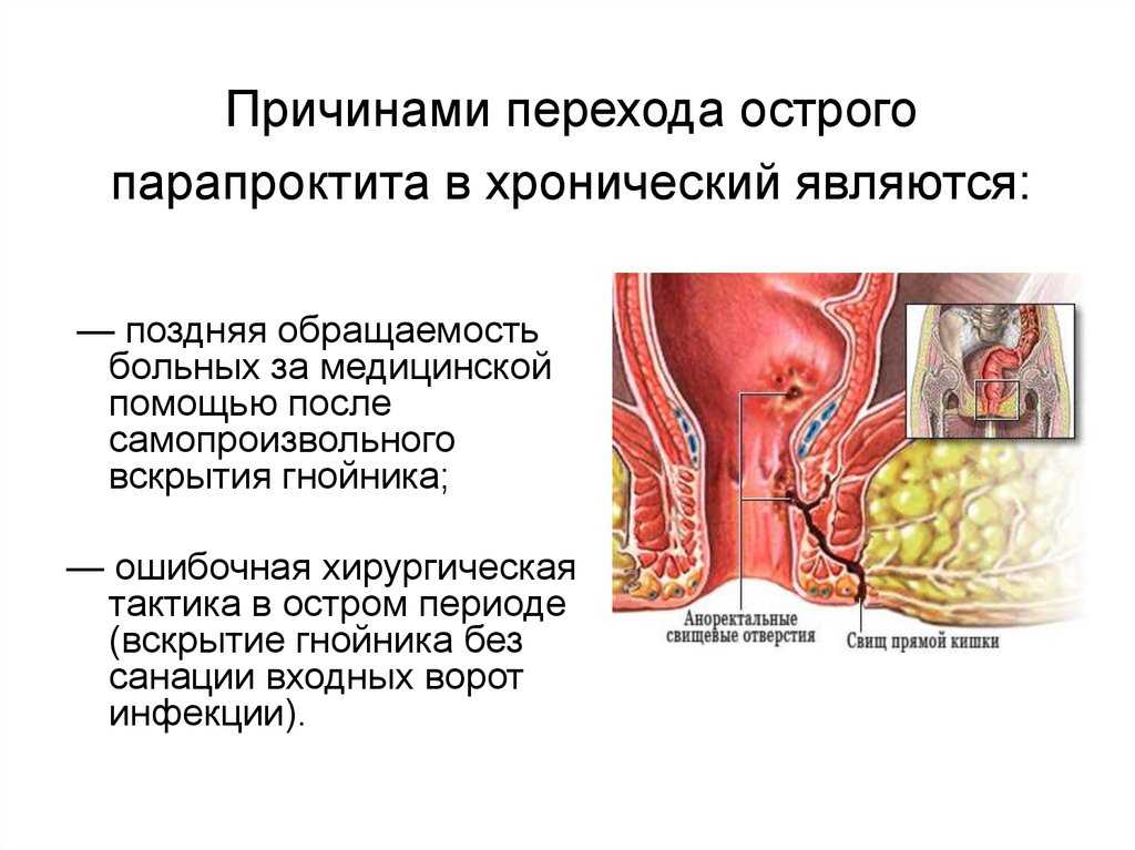 Запах из ушей у собаки - лечение и профилактика заболеваний уха у собак в москве. ветеринарная клиника "зоостатус"