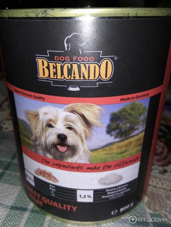Корм для собак "belcando" - отзывы на i-otzovik.ru