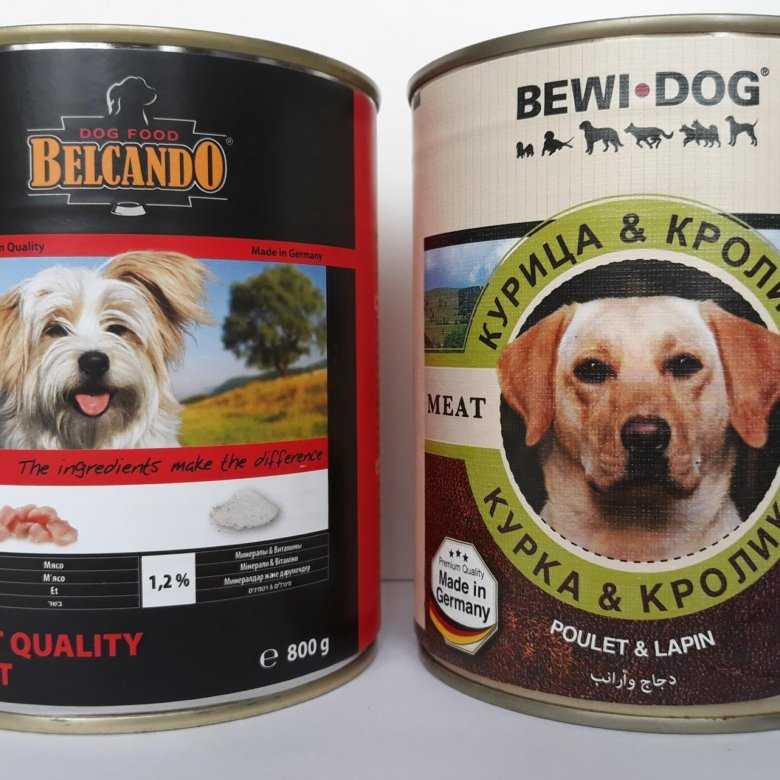 Сухой корм для собак белькандо: отзывы и состав