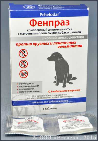 Фенпраз для собак: показания и инструкция по применению, отзывы, цена