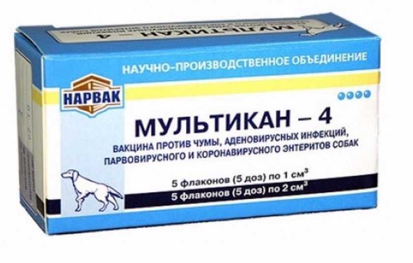 Мультикан 4: инструкция по применению вакцины для собак и щенков, дозировка и показания к использованию - kotiko.ru