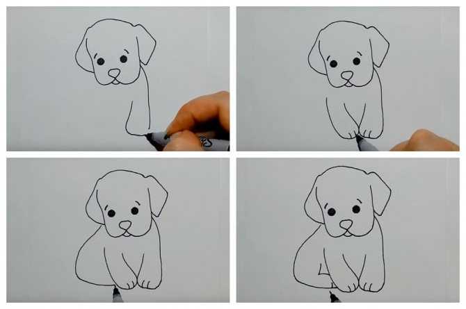 Как нарисовать щенка карандашами поэтапно