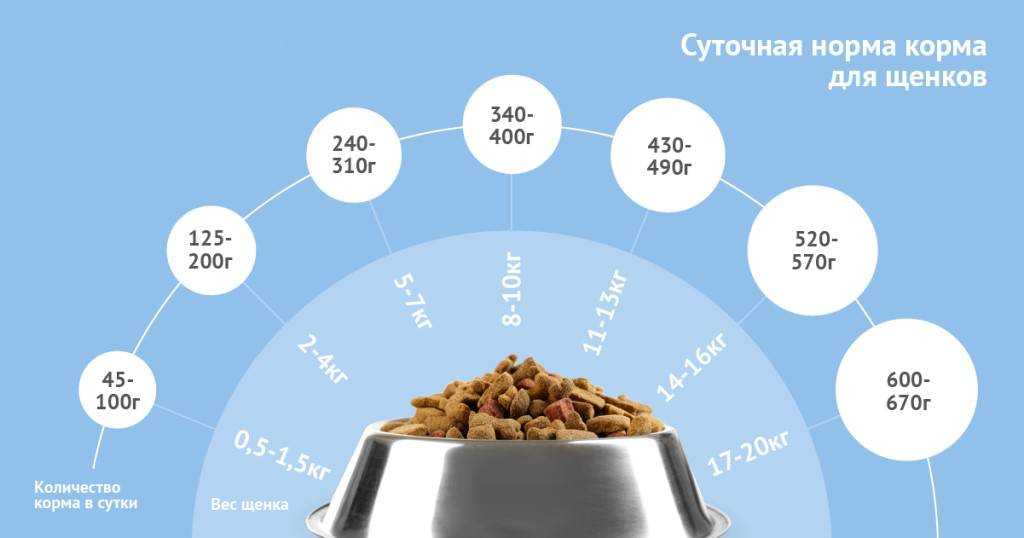 Норма сухого корма для щенков (17 фото): особенности кормления. сколько граммов нужно давать в день? как правильно рассчитать норму по таблице?