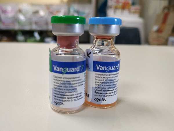 Вакцина каниген для собак