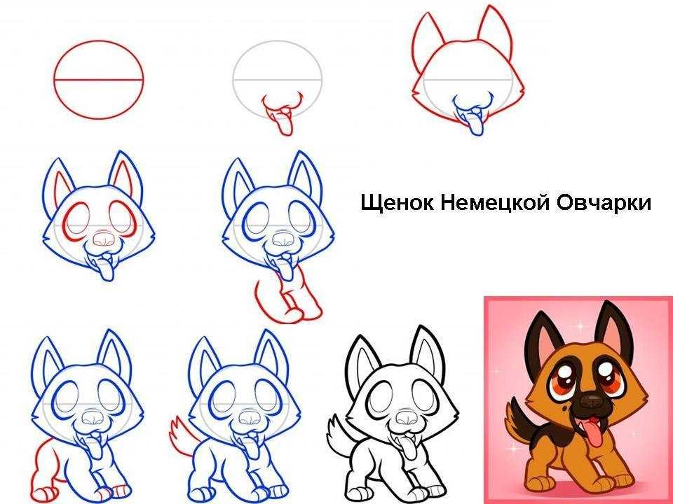 Как нарисовать собаку поэтапно: легкий мастер-класс для детей + инструкция и схемы создания рисунка