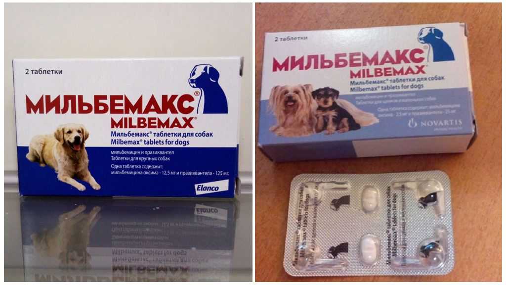 Мильбемакс: инструкция по применению для собак, цена, отзывы
