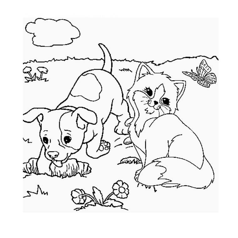 Раскраски кошка и собака