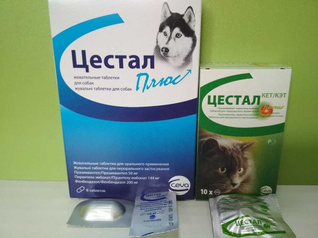 Цестал для кошек - инструкция по применению препарата - kotiko.ru