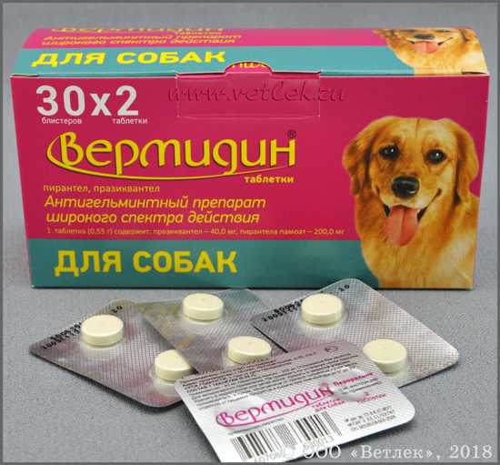Что делать, если собака съела таблетки?