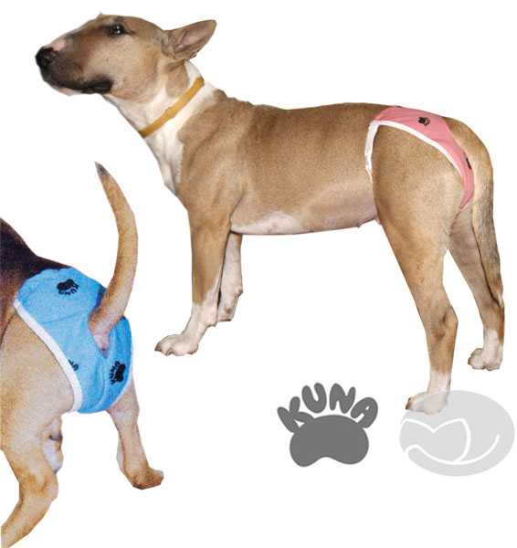 Одежда для собаки своими руками: выкройки подробно, из чего сшить, инструкция