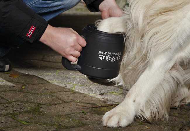 Лапомойка для собак clean dog: обзор функционала и отзывы