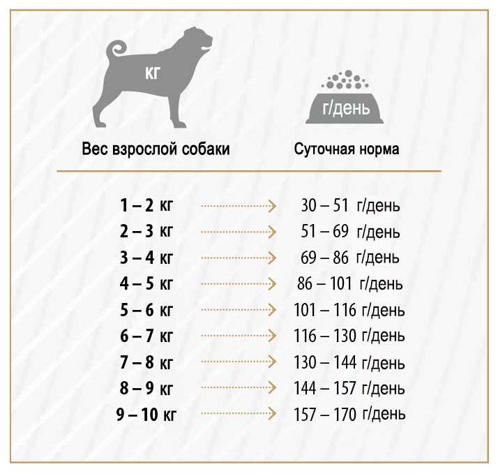 Норма сухого и влажного корма для собак, таблица суточной нормы кормления щенков и собак мелких пород