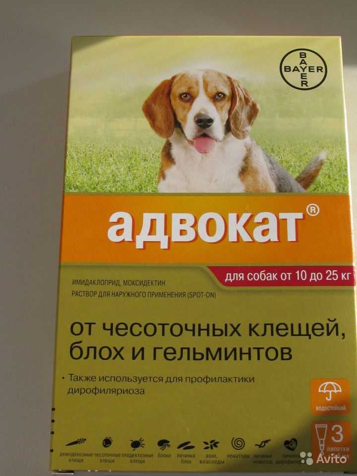 Капли адвокат для собак: инструкция по применению, отзывы, цена