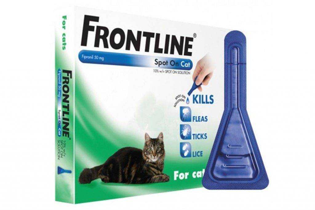Фронтлайн для котят. Фронтлайн для котят капли. Средство от блох для кошек Frontli. Фронтлайн от блох для кошек. Фронтлайн для кошек для котят.