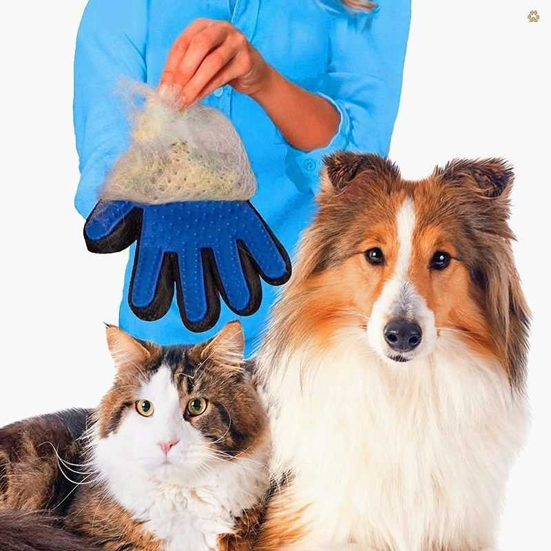Аксессуары для собак: для дрессировки и другие виды. как выбрать аксессуары для щенков маленьких, средних и больших пород?