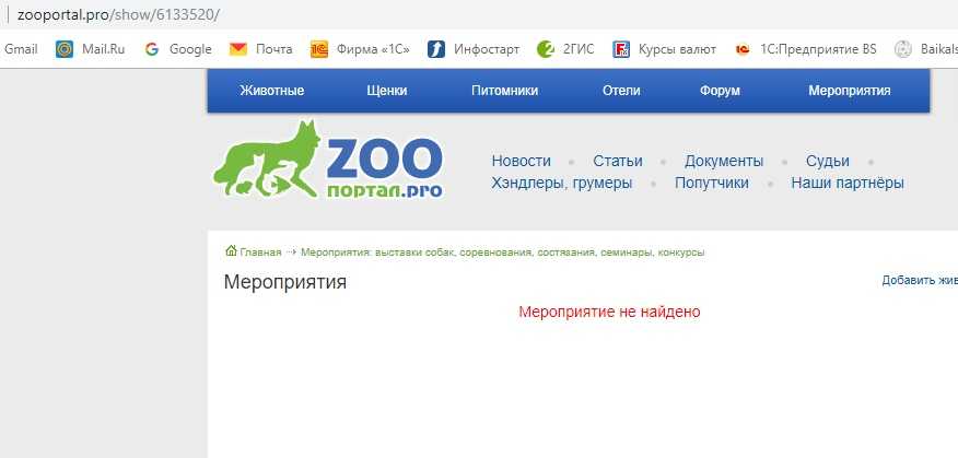Zooпортал.pro :: выставка собак пород 10 группы ранга сас г. москва