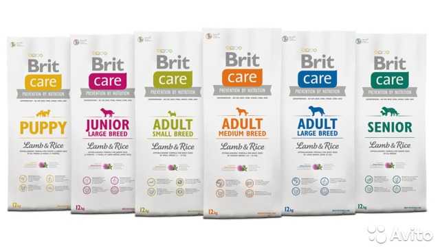 Brit care (брит кеа): обзор корма для кошек, состав, отзывы