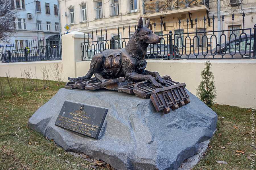 Памятники, посвященные собакам