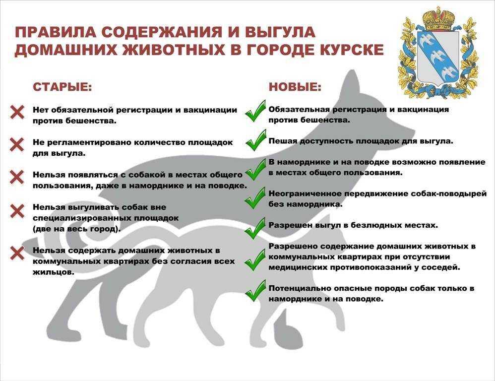 Правила выгула собак: закон в 2019 году, штраф, запрещенные места, можно ли гулять без намордника и поводка в городе