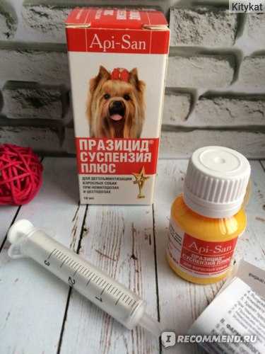 Празицид суспензия для собак: инструкция и показания к применению, отзывы, цена