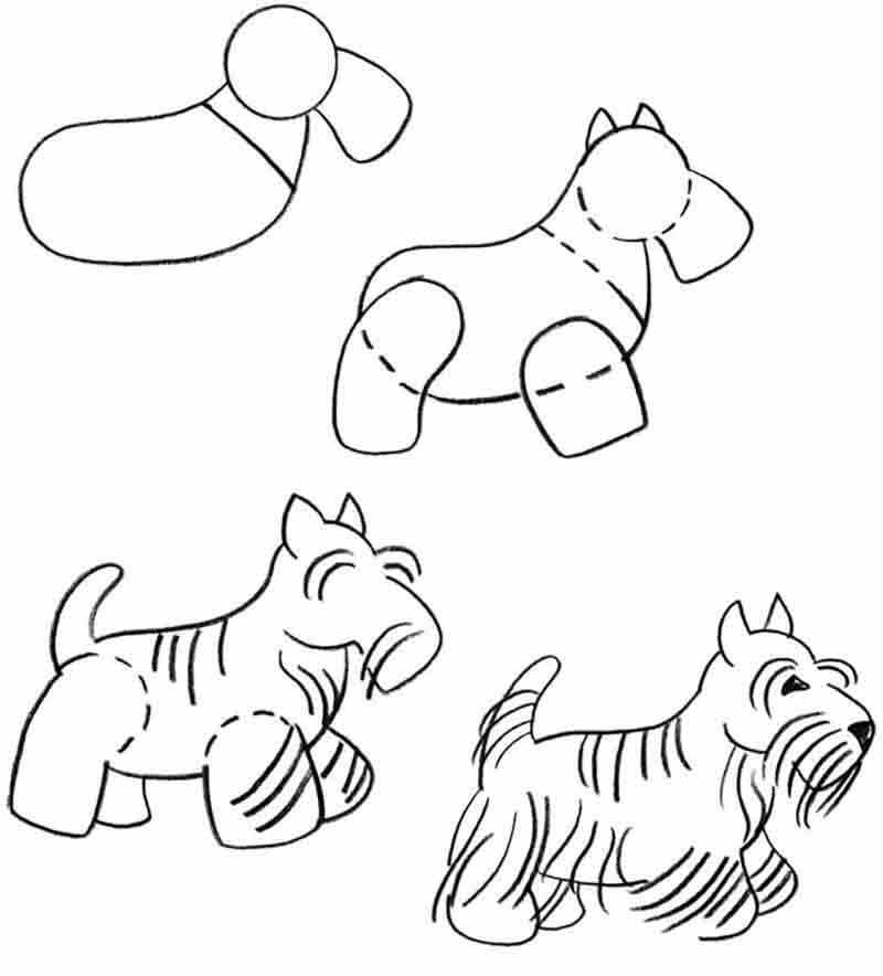 Как нарисовать собаку — символ нового 2018 года — карандашом и красками поэтапно для начинающих