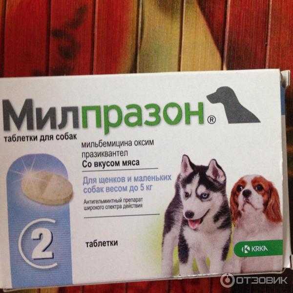 Милпразон для собак