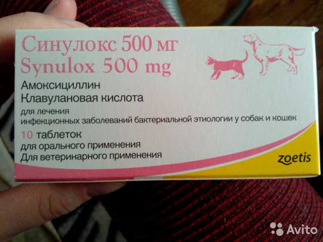 Синулокс 50 250 500 антибиотик для кошек и собак инструкция по применению лекарства 
синулокса суспензии в ветеринарии дозировка отзывы