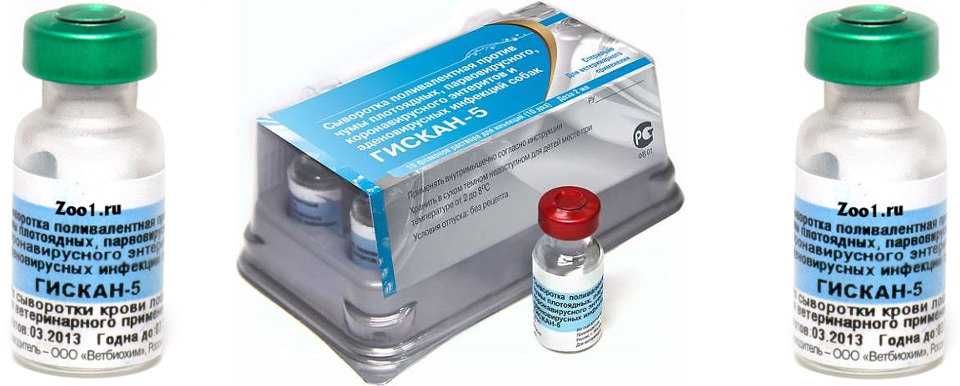 Вакцина 5 в 1. Сыворотка гискан-5 (1фл=1доза) 1флакон. Вакцина для щенков гискан 5. Гискан-5 сыворотка для собак. Сыворотка против чумы собак гискан-5.