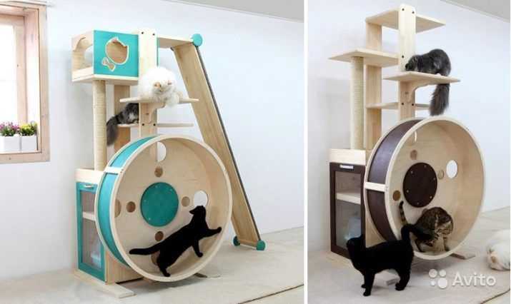 ᐉ беговое колесо для кошек - ➡ motildazoo.ru