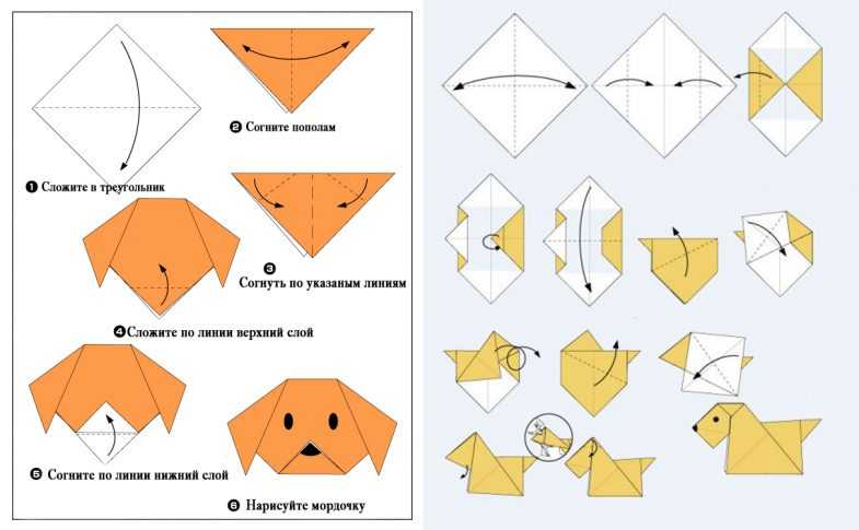 Схема складывания собаки из бумаги в технике оригами: инструкция с фото и описанием