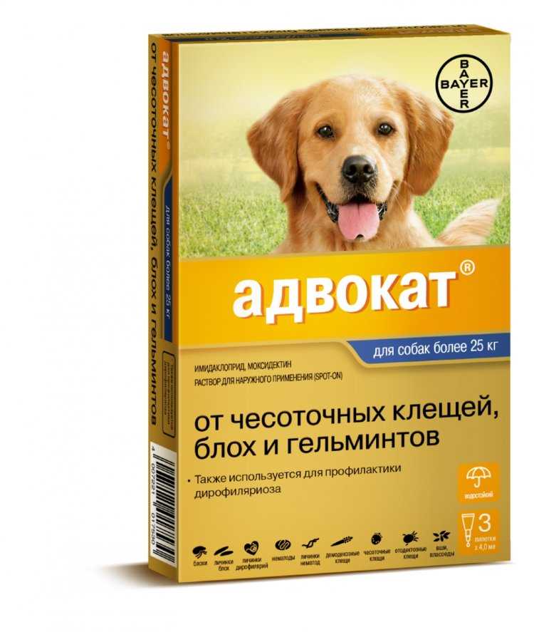 Ветеринарный препарат «адвокат» для собак: дозировка, инструкция