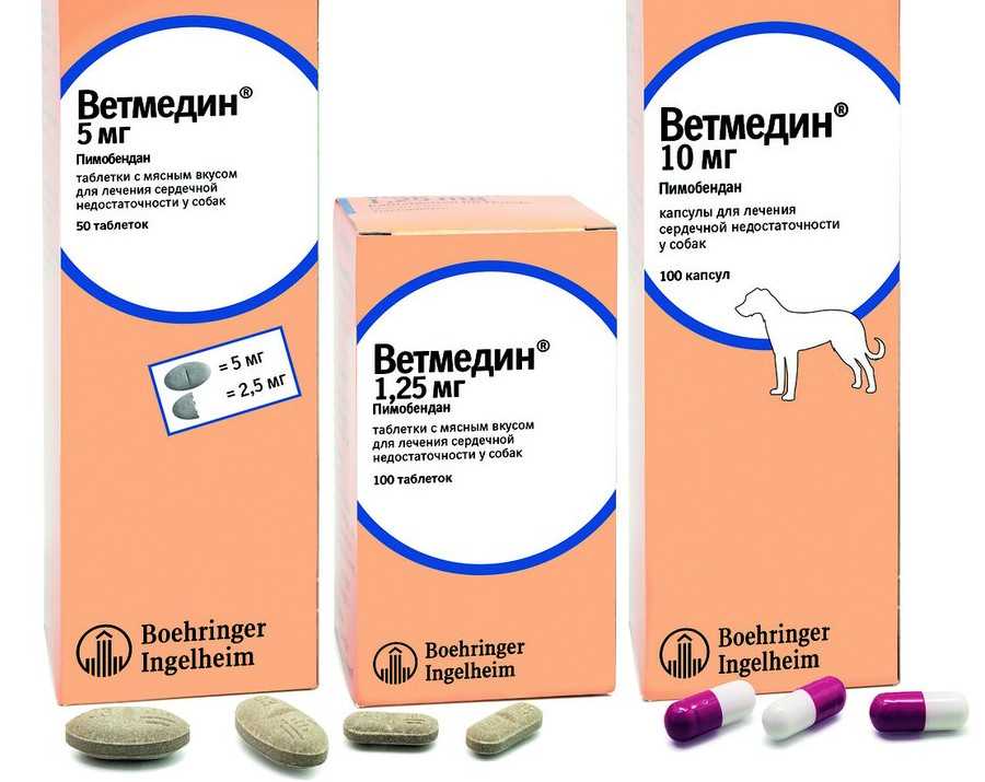 Ветмедин для собак: инструкция по применению, назначение и дозировка