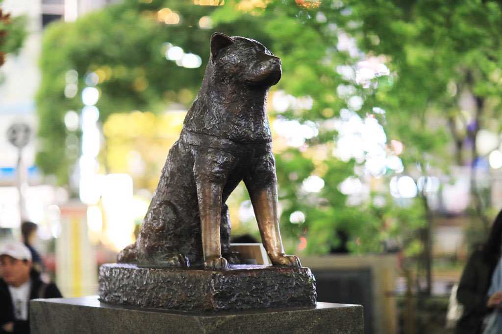 Памятники собакам, установленные во всем мире в честь доблести и преданности четвероногих