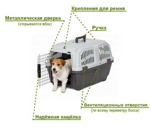 Переноски для собак в самолет: топ 25 для мелких и средних пород
