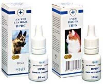Глазные капли Ирис для кошек оказывают антибактериальное и противовоспалительное действие. Данный лечебный препарат применяется, как для профилактики, так и для терапии офтальмологических патологий.