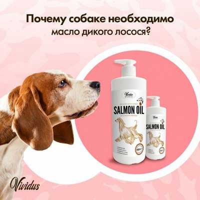 Лососевое масло для собак: инструкция и отзывы