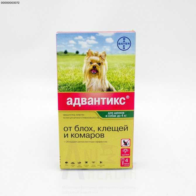 Адвантикс для собак – защита от блох и клещей