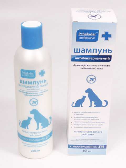 Шампунь с хлоргексидином для собак