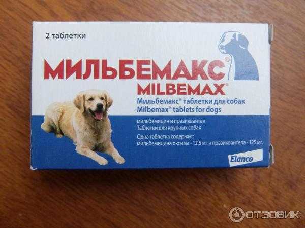 Мильбемакс для собак: инструкция по применению | цена, отзывы